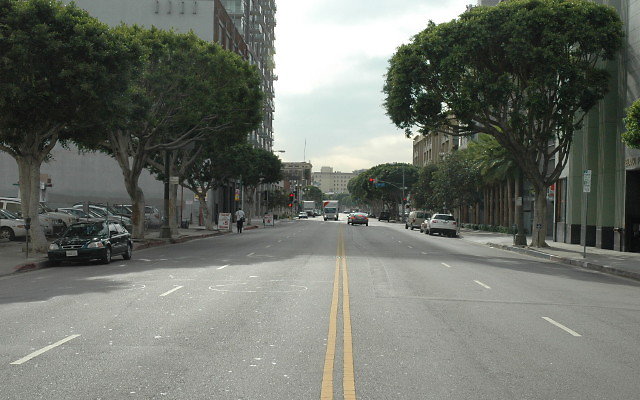 DSC 0086