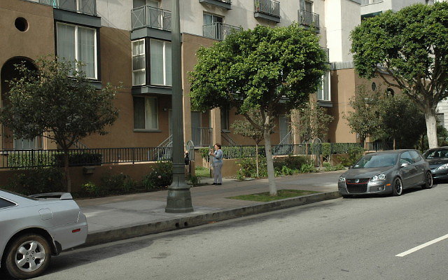 DSC 0089