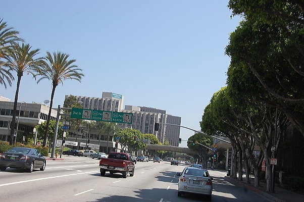DSC 0049