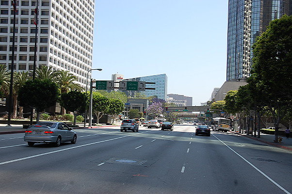 DSC 0042