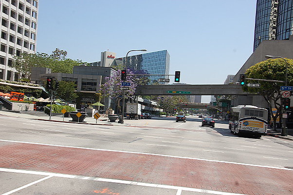 DSC 0044