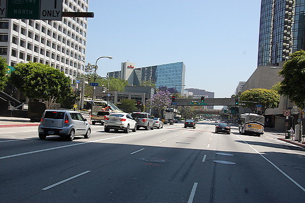 DSC 0043