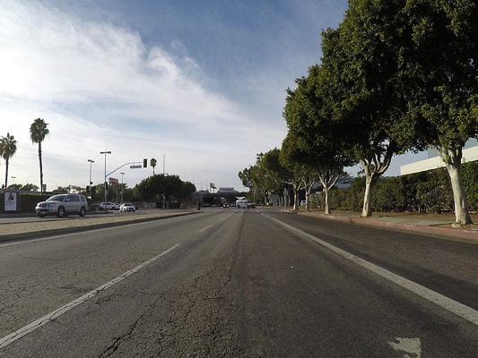 Pico.West.Fig.11015 - DCIM\100GOPRO\GOPR0871.