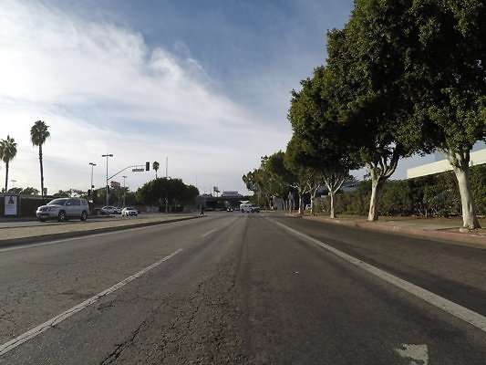 Pico.West.Fig.11015 - DCIM\100GOPRO\GOPR0871.