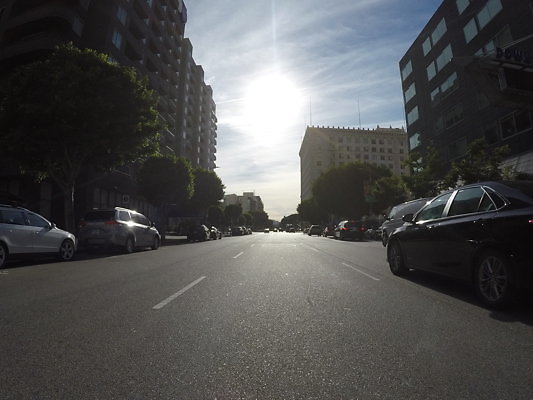 Flower.South.Olympic35 - DCIM\100GOPRO\GOPR0673.