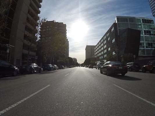 Flower.South.Olympic34 - DCIM\100GOPRO\GOPR0672.