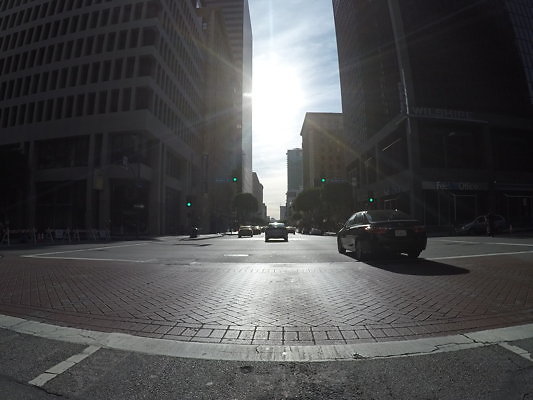 Flower.South.Olympic20 - DCIM\100GOPRO\GOPR0658.