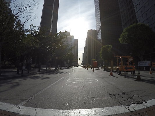 Flower.South.Olympic13 - DCIM\100GOPRO\GOPR0651.