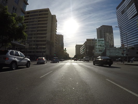 Flower.South.Olympic33 - DCIM\100GOPRO\GOPR0671.