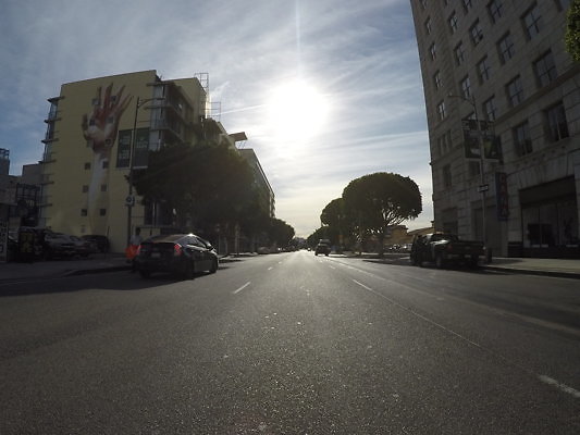 Flower.South.Olympic38 - DCIM\100GOPRO\GOPR0676.