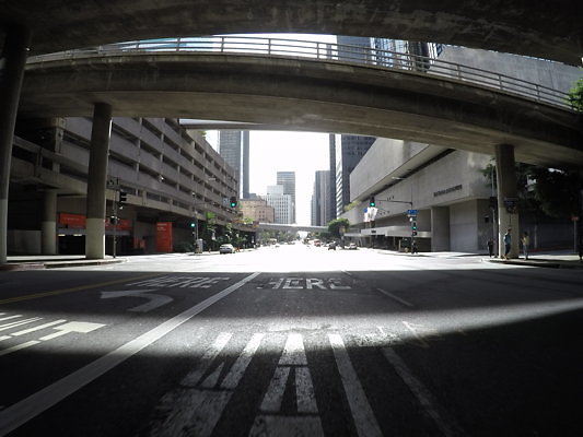 Flower.South.Olympic07 - DCIM\100GOPRO\GOPR0645.