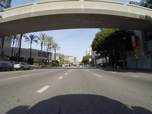 Fig.No.Venice.2nd.55 - DCIM\100GOPRO\GOPR0732.
