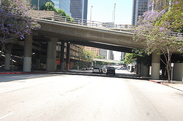 DSC 0069