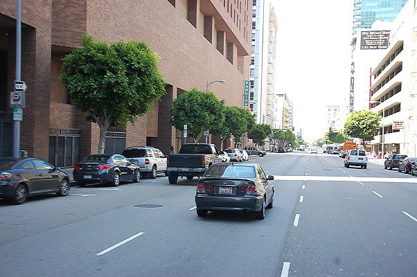 DSC 0084
