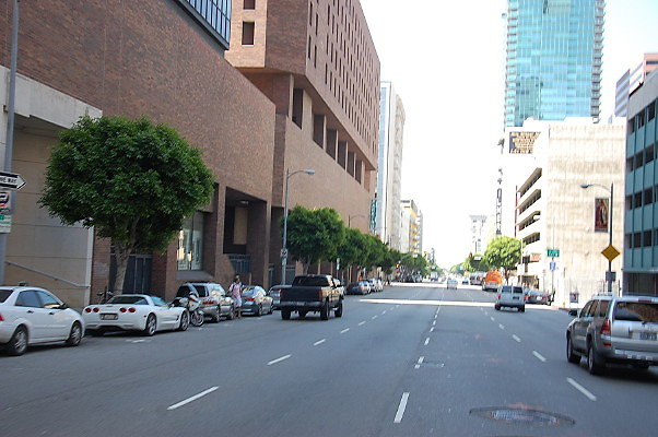 DSC 0083