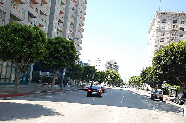 DSC 0091