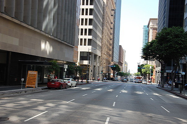DSC 0080