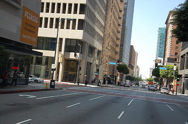 DSC 0081
