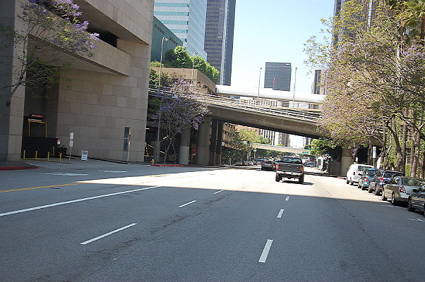 DSC 0068