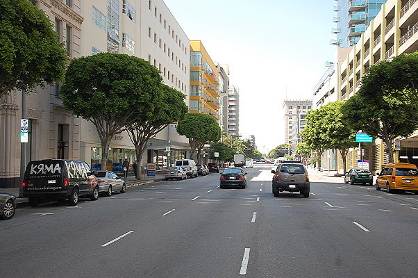 DSC 0087