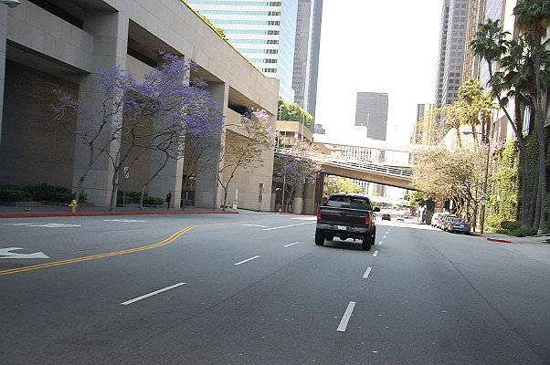 DSC 0067