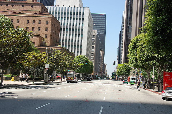 DSC 0075