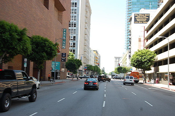 DSC 0085