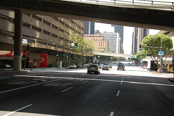 DSC 0070
