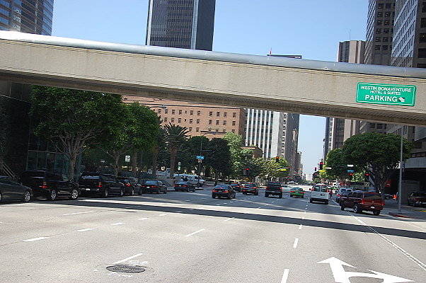 DSC 0072