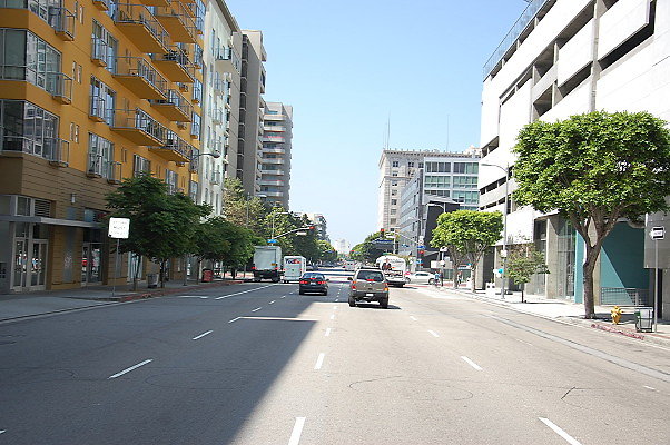 DSC 0088