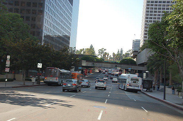 DSC 0210