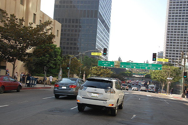 DSC 0208