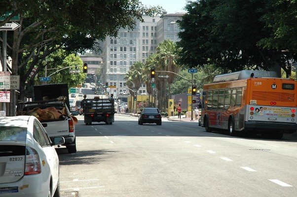 DSC 0110b