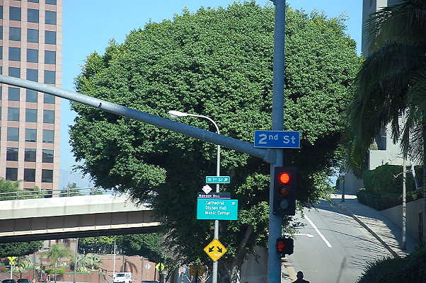 DSC 0068