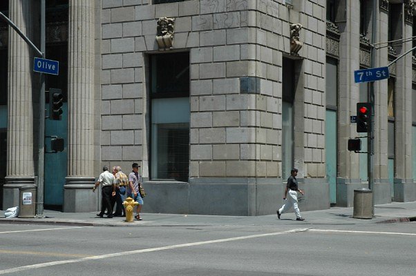 DSC 0132b