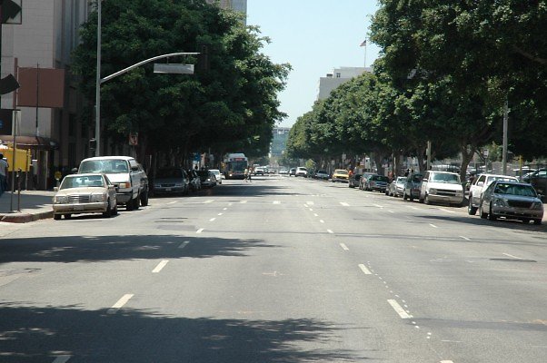 DSC 0132