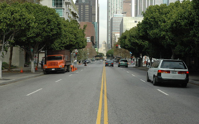 DSC 0100