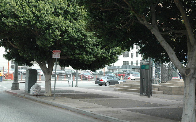 DSC 0003