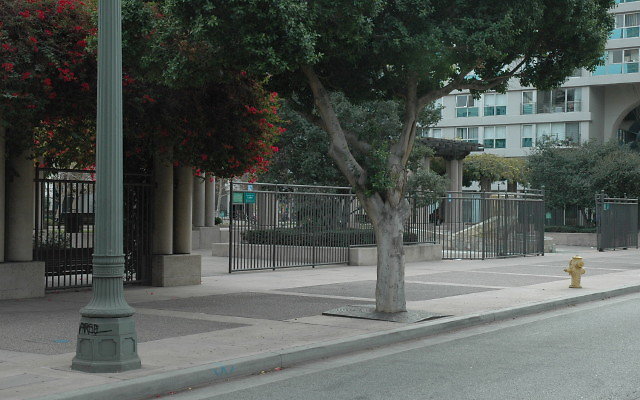 DSC 0105