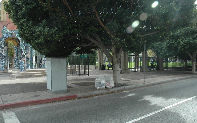 DSC 0005