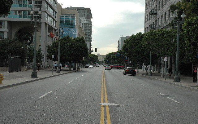DSC 0106