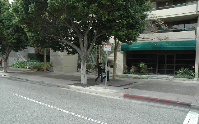 DSC 0007