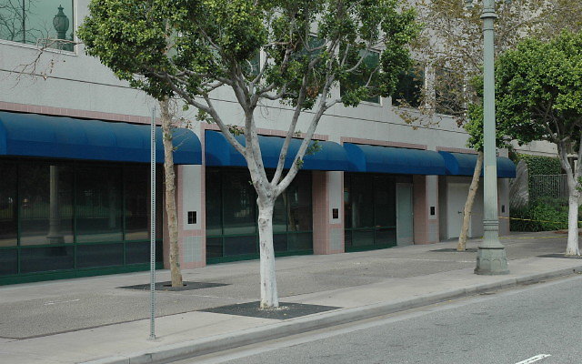 DSC 0099