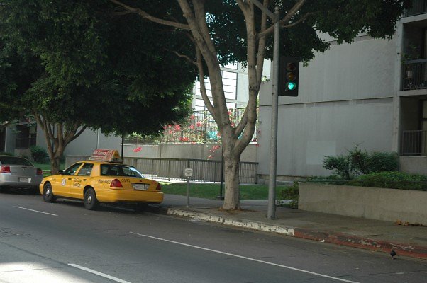 DSC 0060