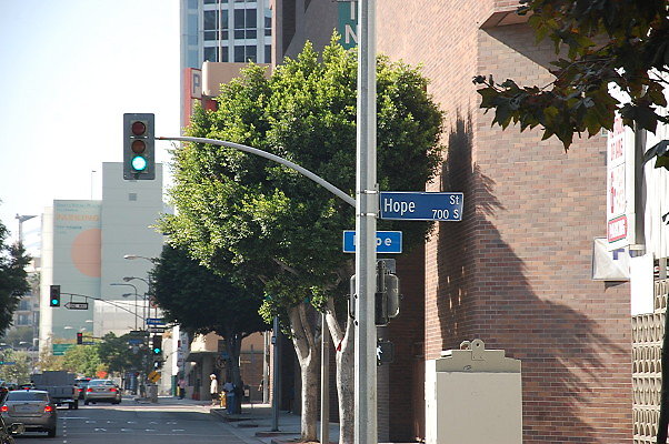 DSC 0269