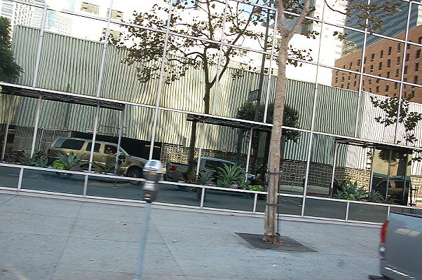 DSC 0250