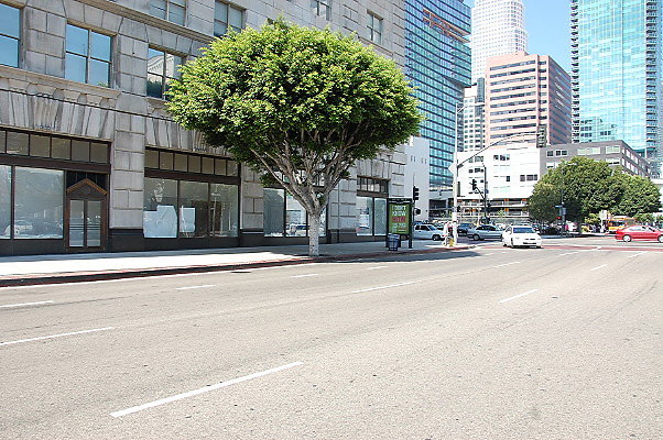 DSC 0127