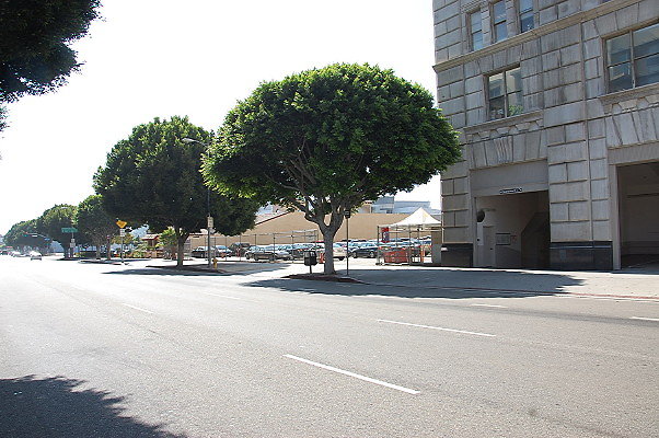DSC 0125
