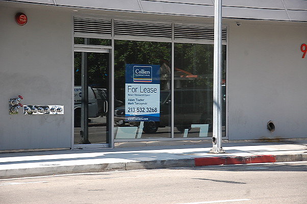 DSC 0118