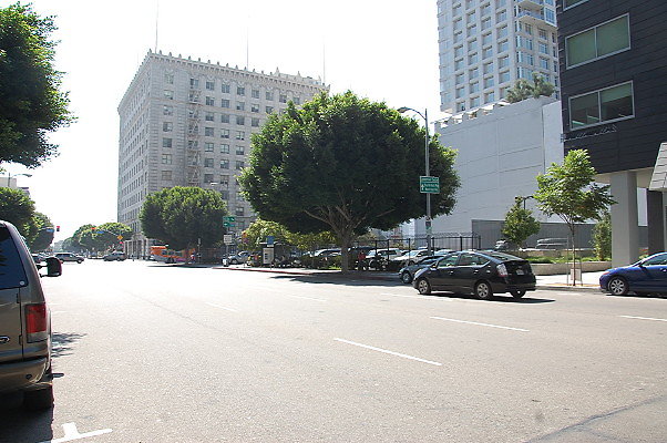 DSC 0107